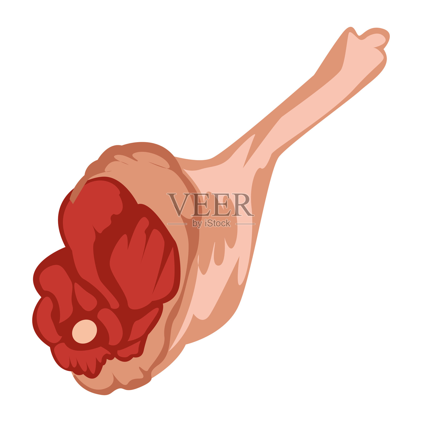 生鸡腿插图用于烹饪艺术插画图片素材