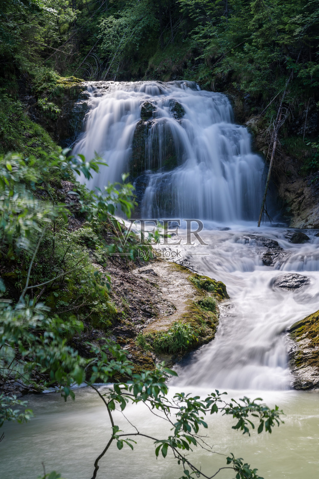森林中的瀑布照片摄影图片