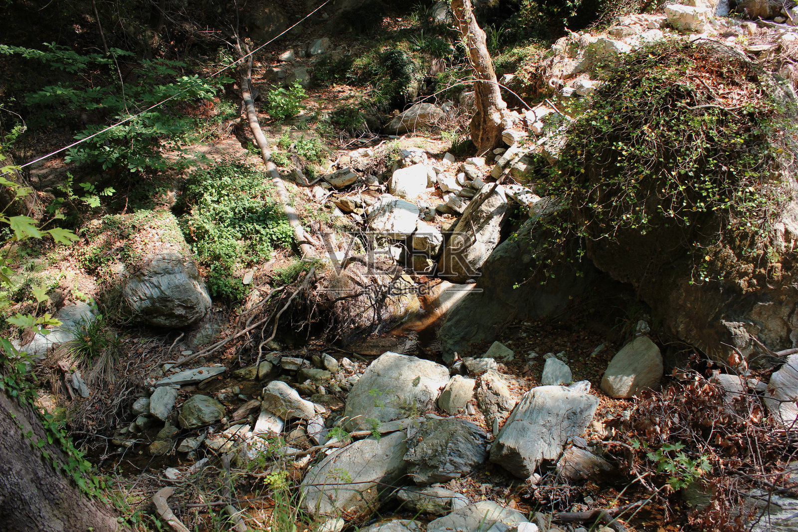 半人马的路径（在丹尼尔飓风之后）希腊佩利翁波尔塔里亚照片摄影图片