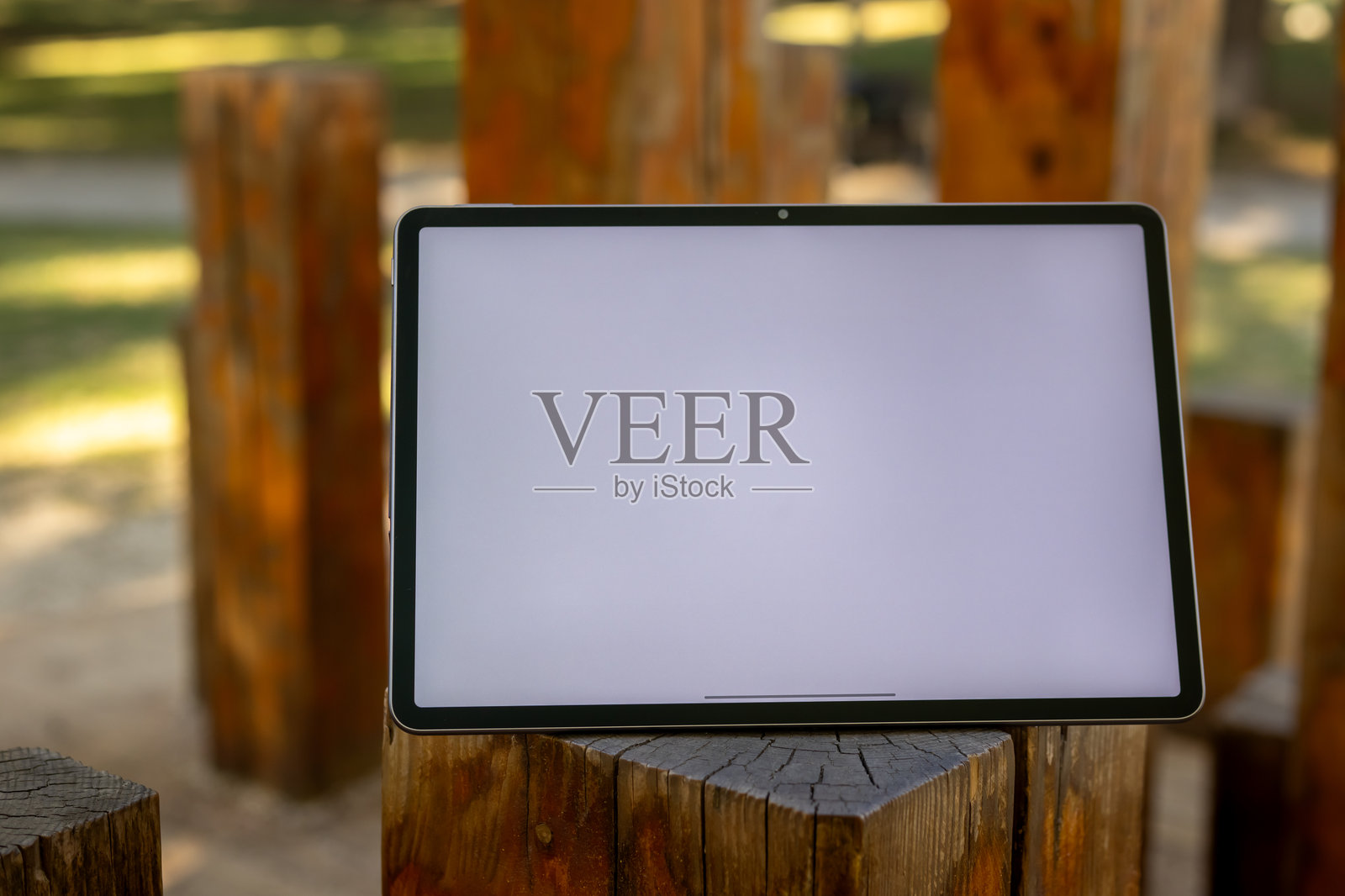 年轻大学生在公园户外使用带触控笔的空白屏幕平板电脑照片摄影图片