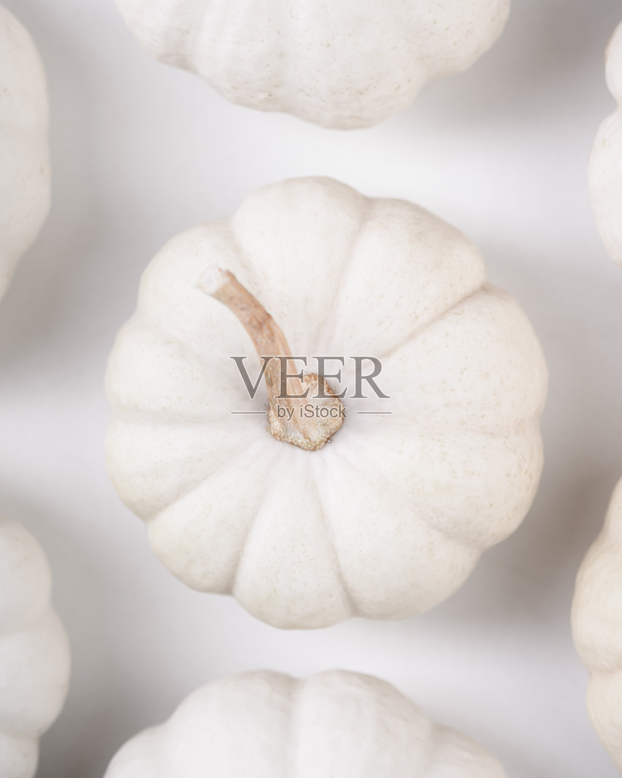 小白色装饰南瓜的创意背景照片摄影图片