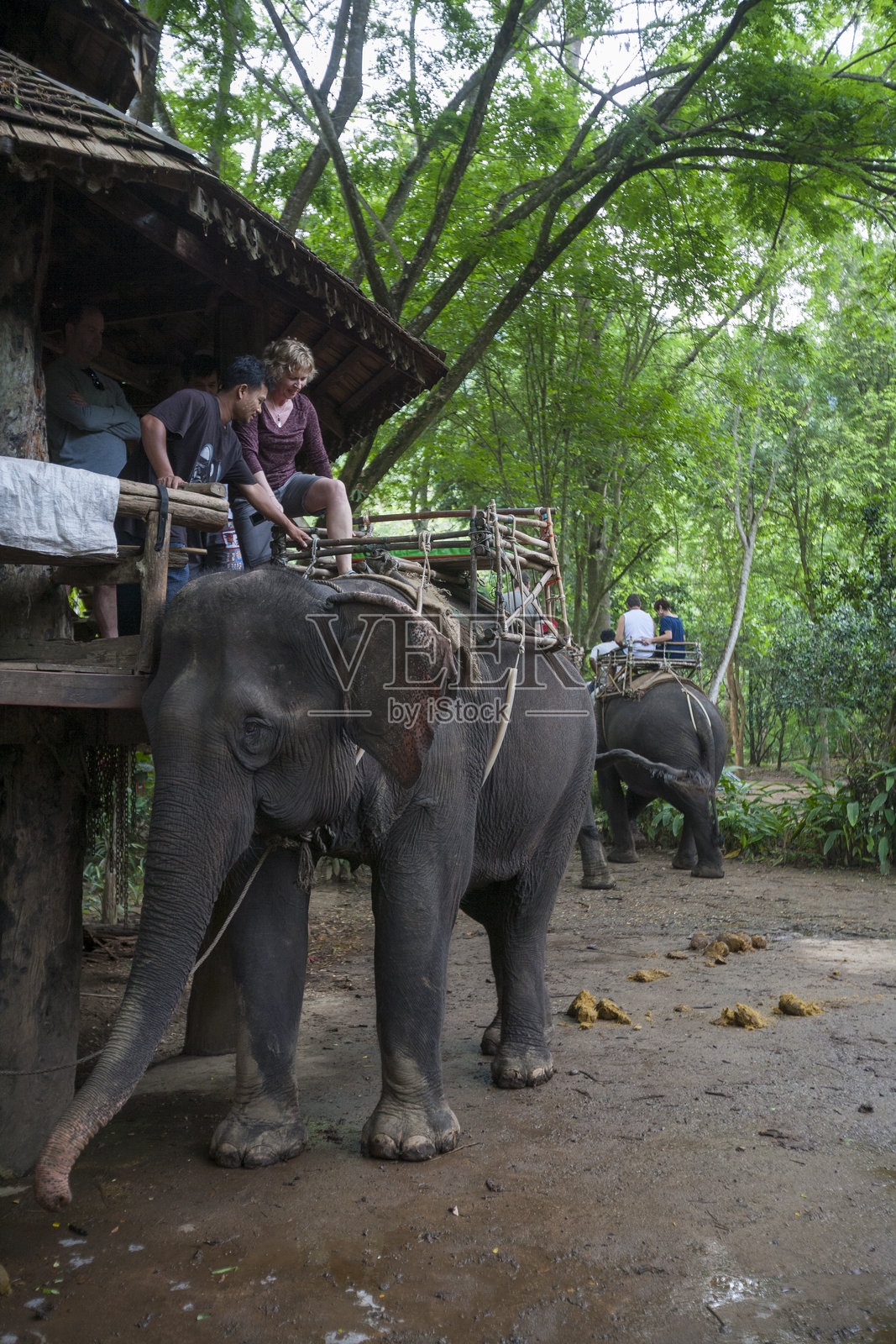 泰国坎昌布里的大象与人们照片摄影图片