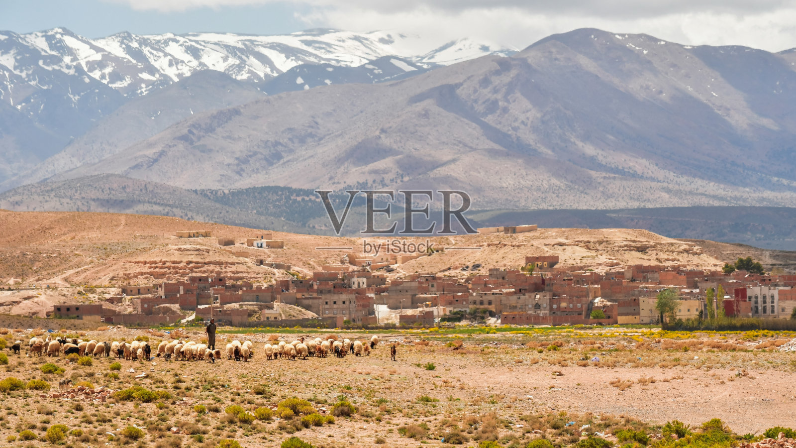 牧羊人与羊照片摄影图片