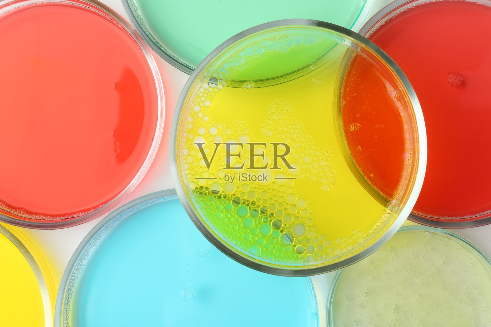 白色背景上的不同液体样本的培养皿，俯视图照片摄影图片