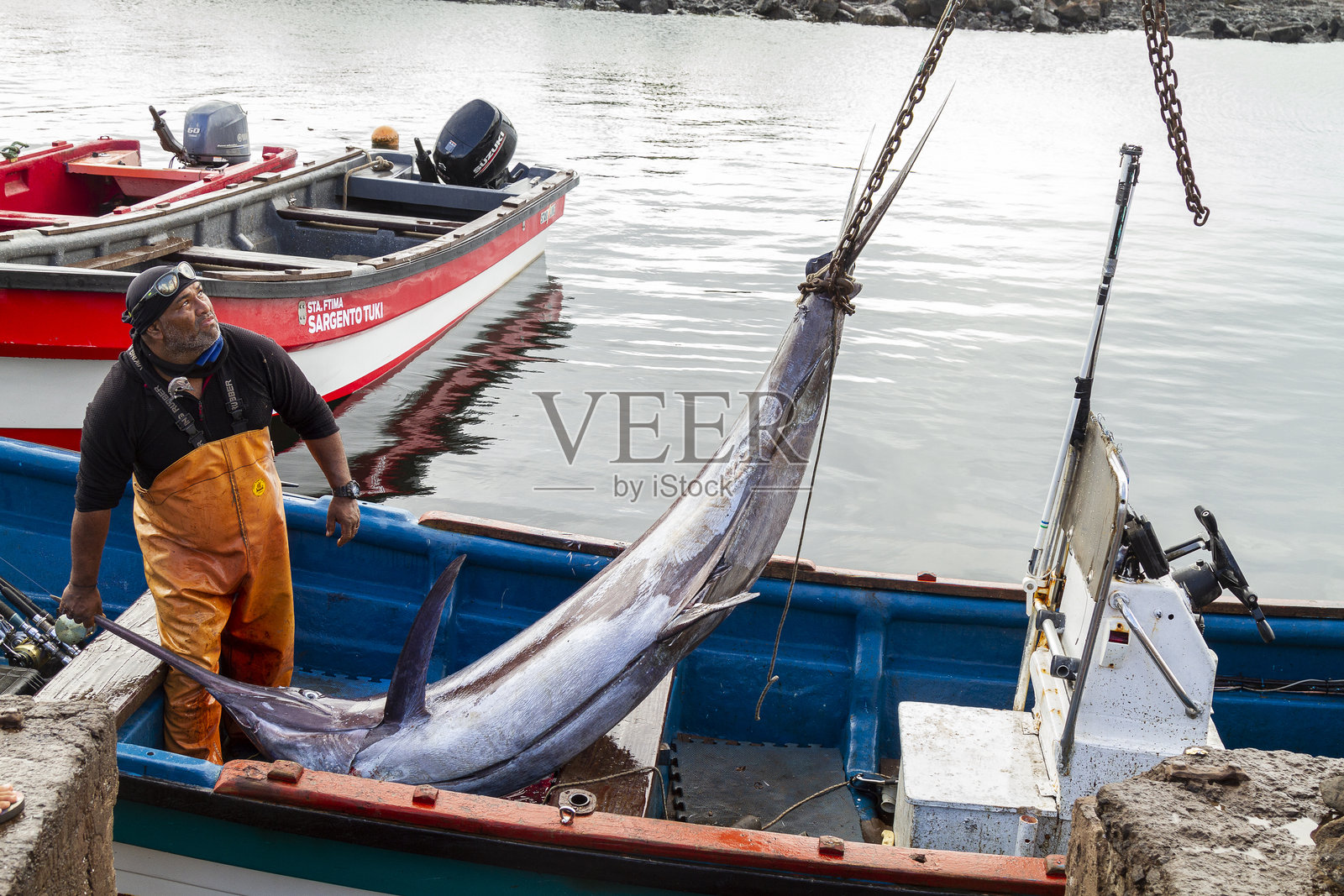 在复活节岛拉帕努伊海钓蓝色马林鱼，智利，法属波利尼西亚，拉丁美洲照片摄影图片