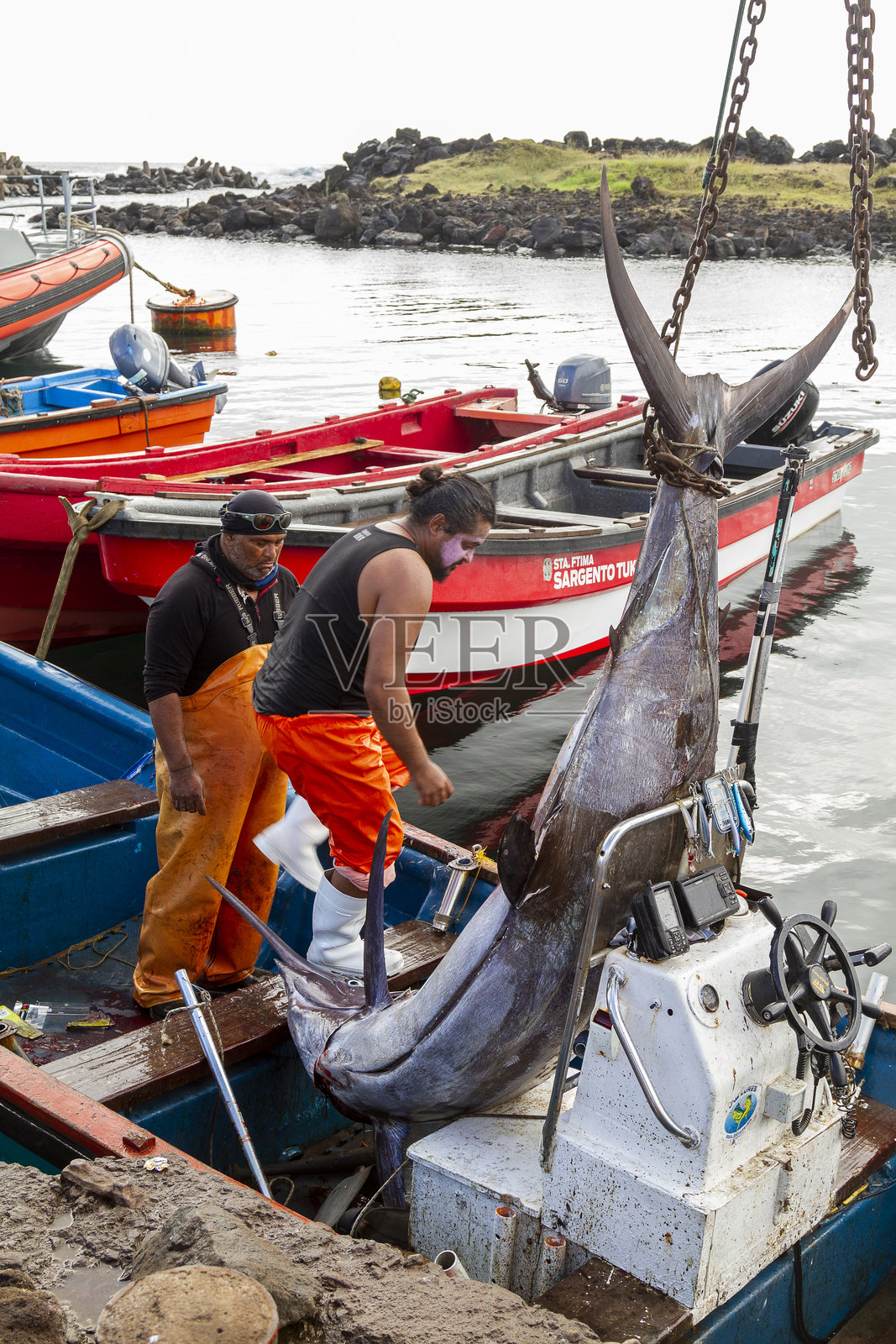 在复活节岛拉帕努伊海钓蓝色马林鱼，智利，法属波利尼西亚，拉丁美洲照片摄影图片