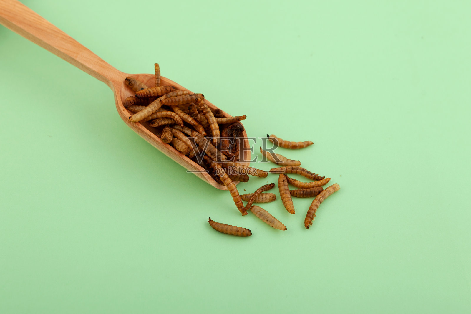 木勺里的干燥昆虫特写，炒幼虫混合物，有机蛋白质来源，最新趋势 - 替代食品，可持续营养照片摄影图片