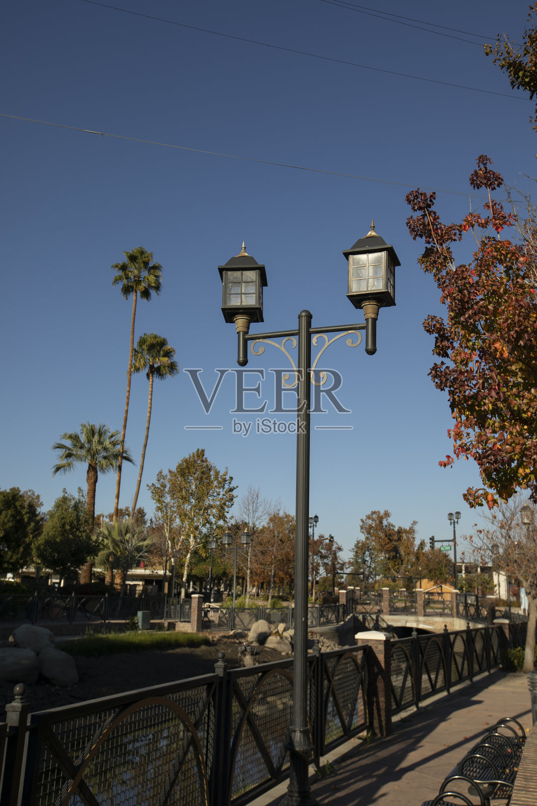 贝克斯菲尔德市中心公园照片摄影图片