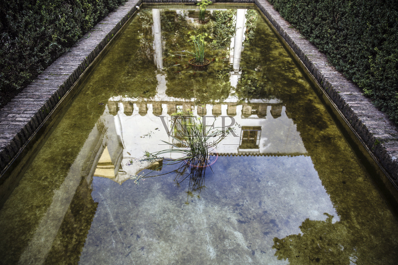 塞维利亚王宫照片摄影图片