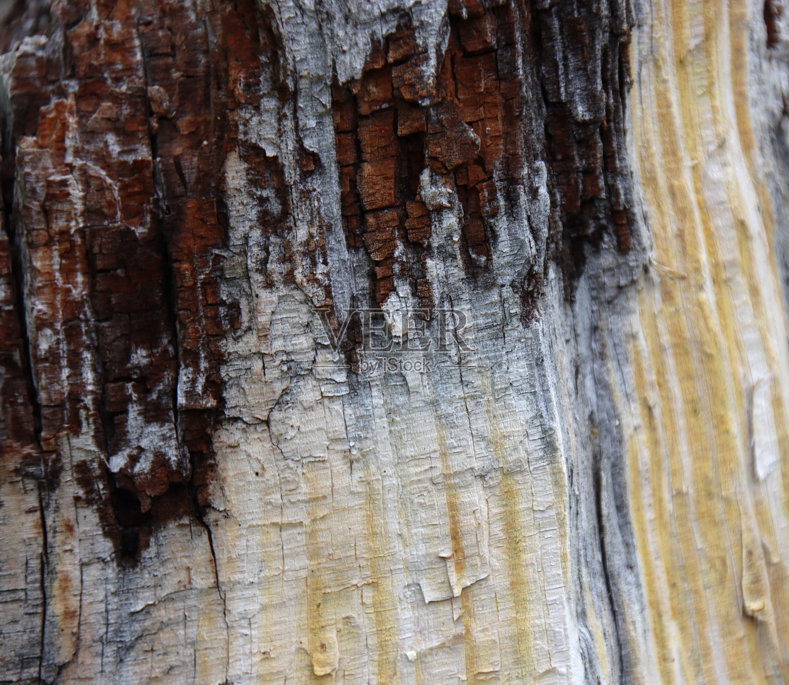 纹理照片摄影图片