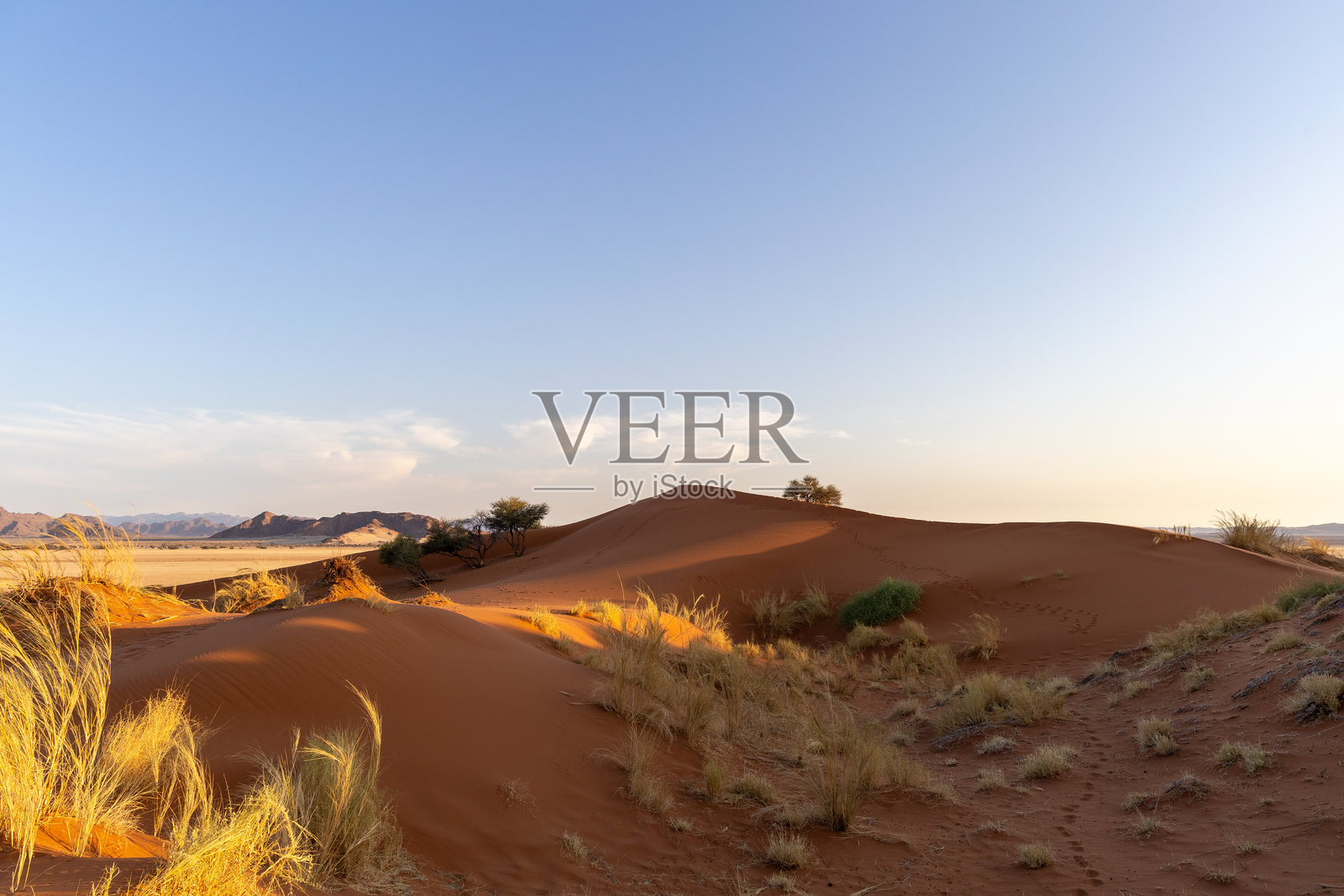 索苏斯弗雷照片摄影图片