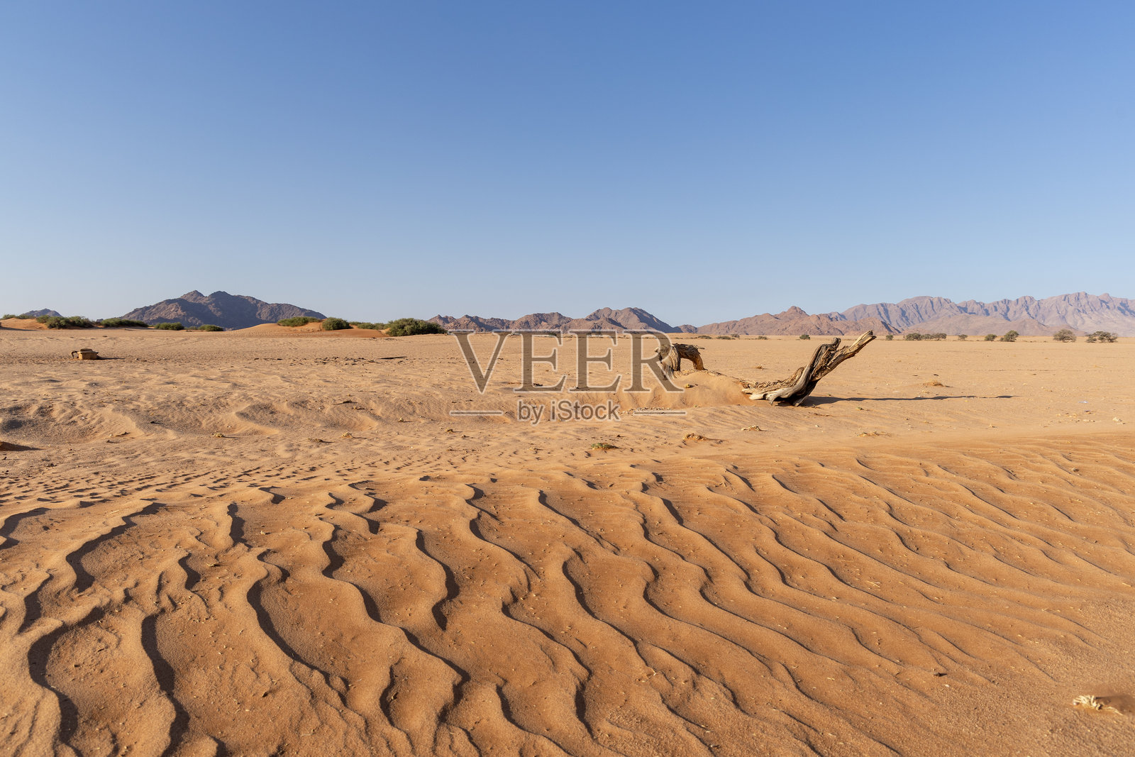 索苏斯弗雷照片摄影图片