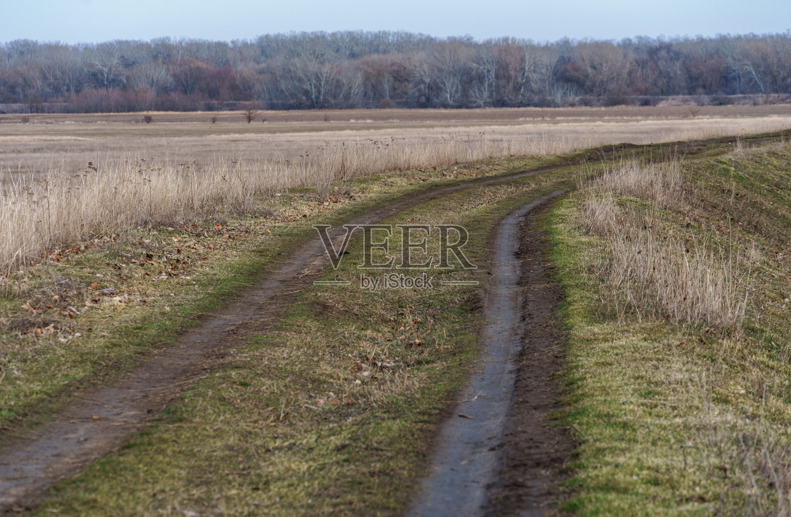 深秋的风景，河岸上的森林，古老的树木和枯萎的叶子与草，阴 cloudy 的天气照片摄影图片