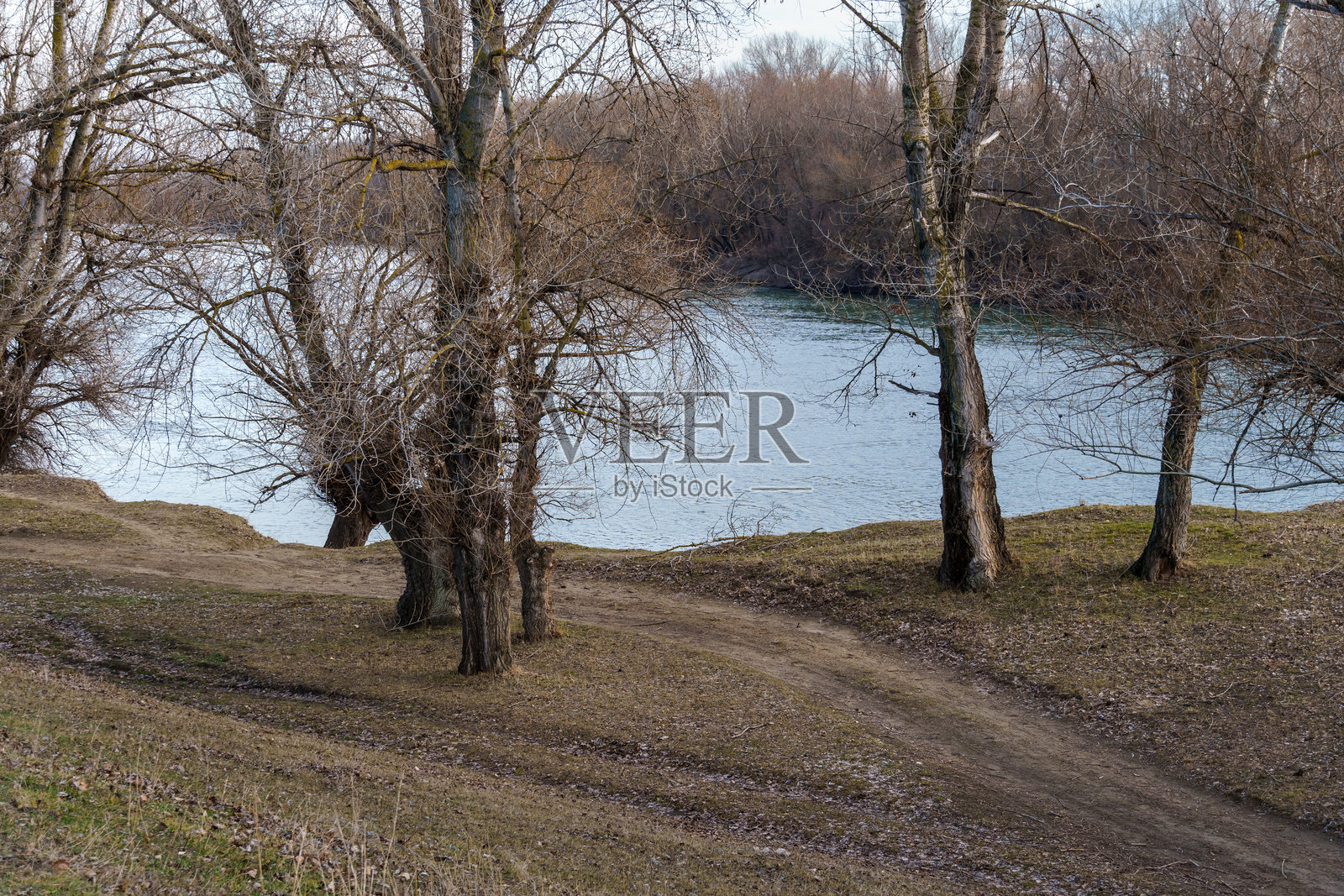 深秋的风景，河岸上的森林，古老的树木和枯萎的叶子与草，阴 cloudy 的天气照片摄影图片