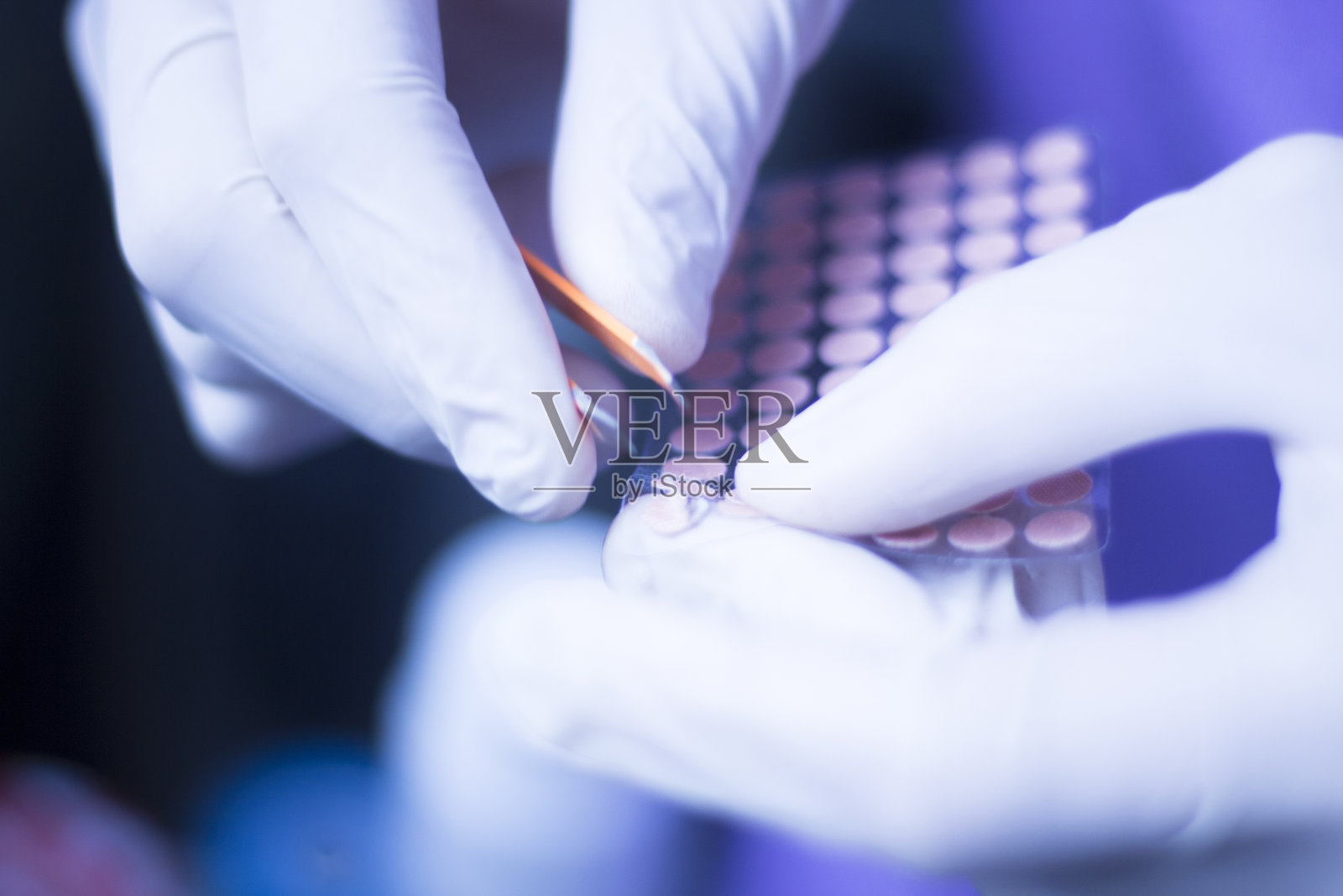 一个人手持针灸器械的特写照片摄影图片