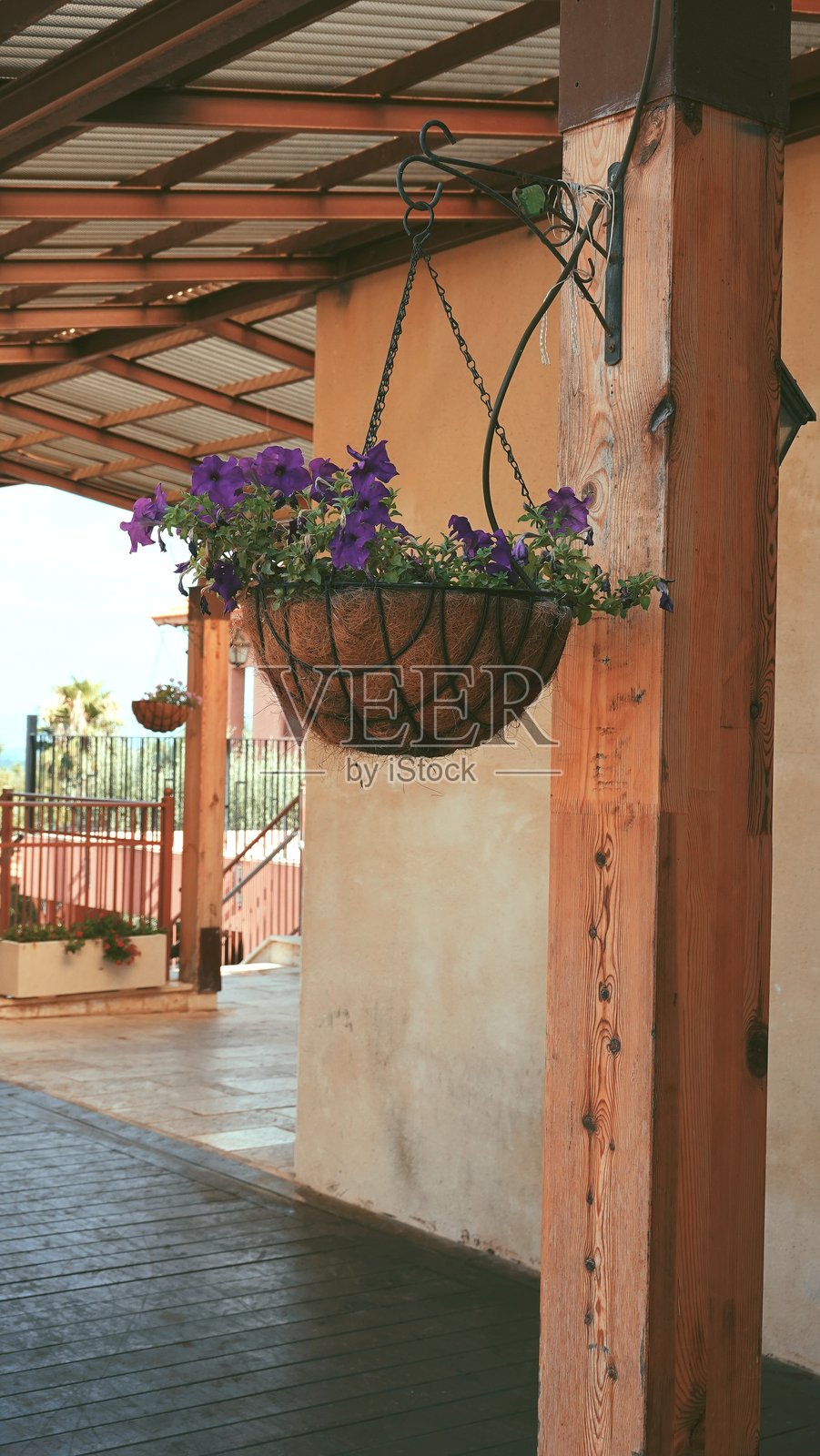 悬挂花篮木柱户外紫色照片摄影图片
