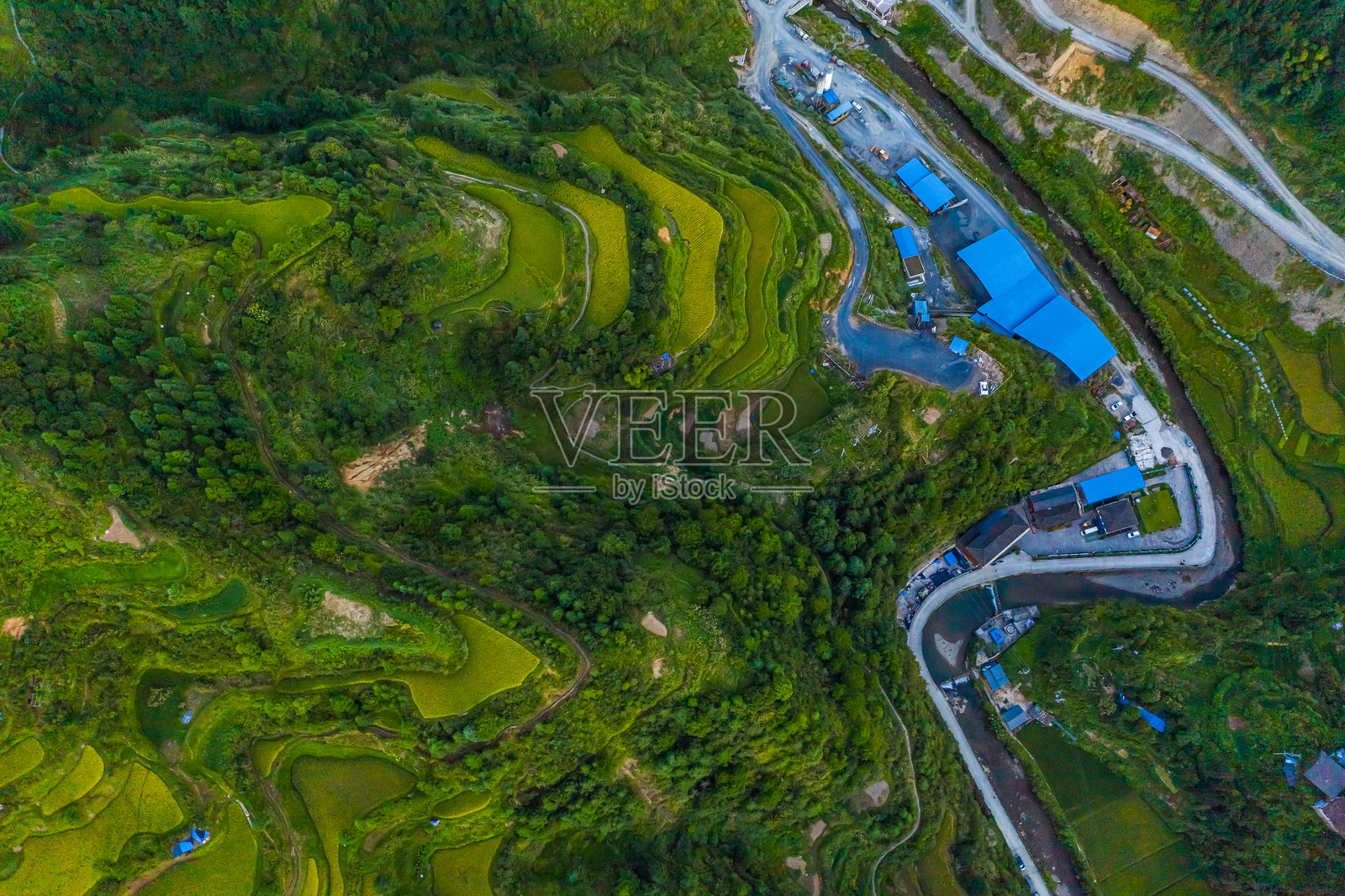 梯田，西江千户苗寨，贵州，中国，亚洲。照片摄影图片