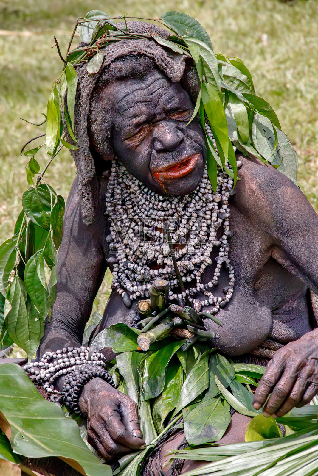 咀嚼槟榔的巴布亚部落老年妇女照片摄影图片