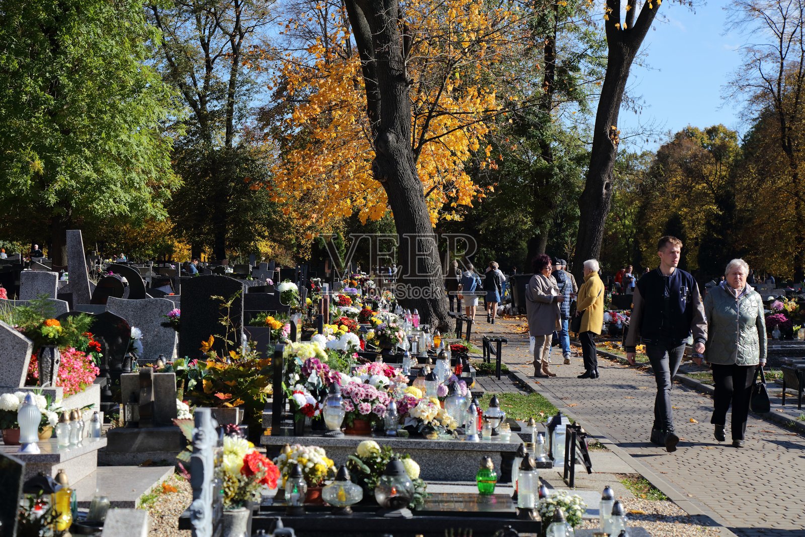 波兰的万圣节墓地照片摄影图片