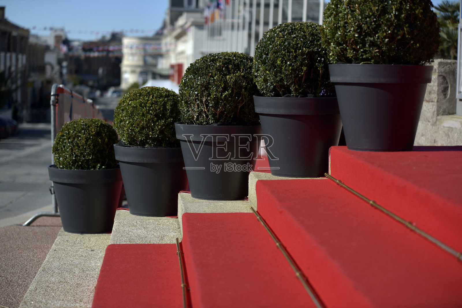 迪纳尔红地毯照片摄影图片