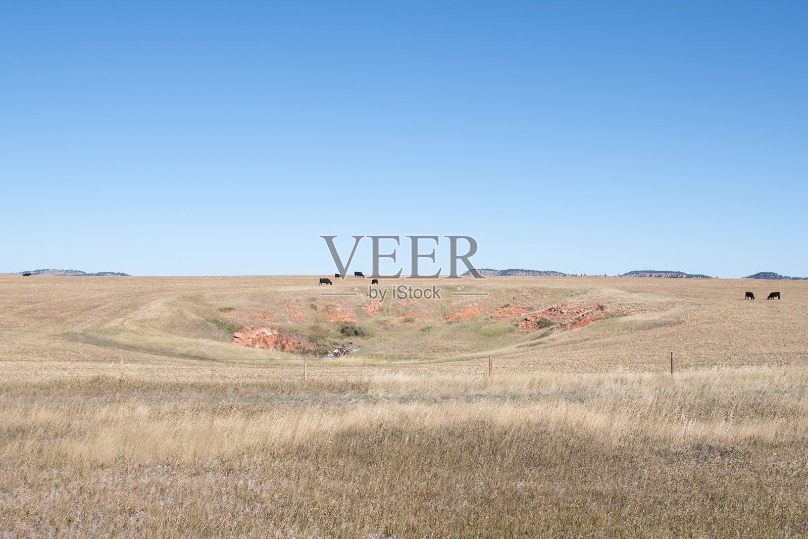 水牛跳崖，利用自然的洼地捕捉水牛。照片摄影图片