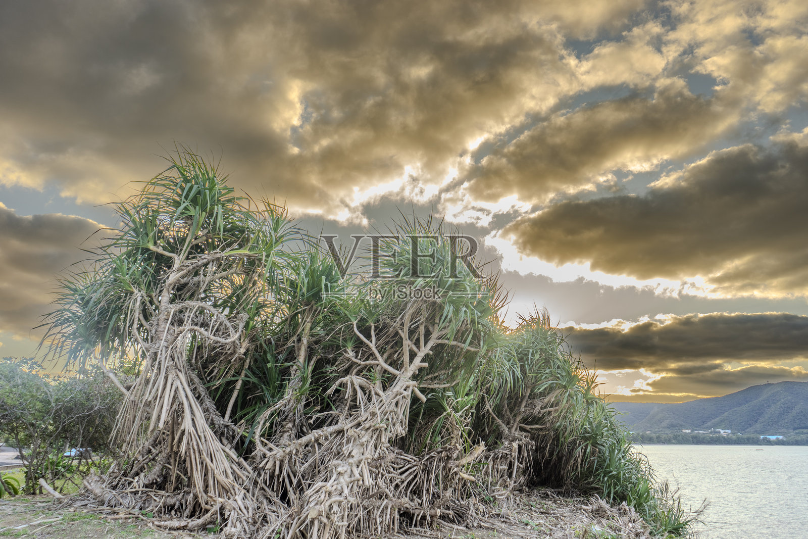 奄美大岛的风景照片摄影图片