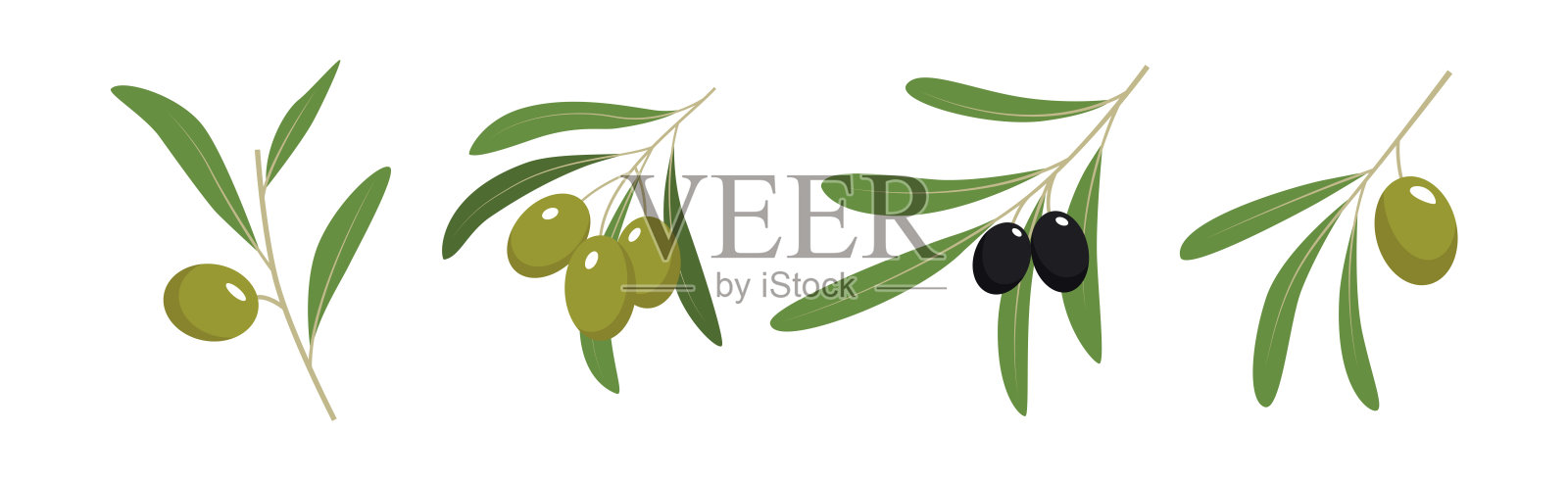 绿色和黑色橄榄枝叶矢量图集插画图片素材