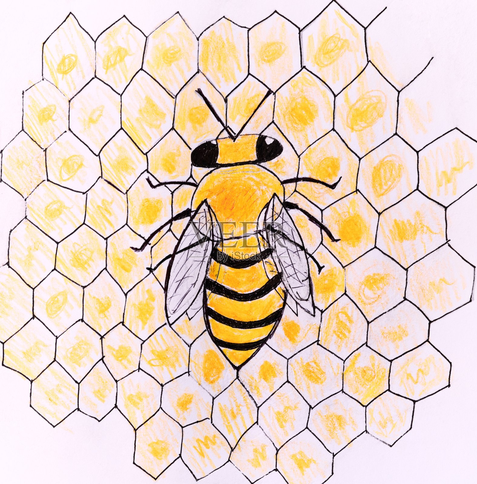 蜜蜂在蜂巢上。儿童铅笔手绘。插画图片素材
