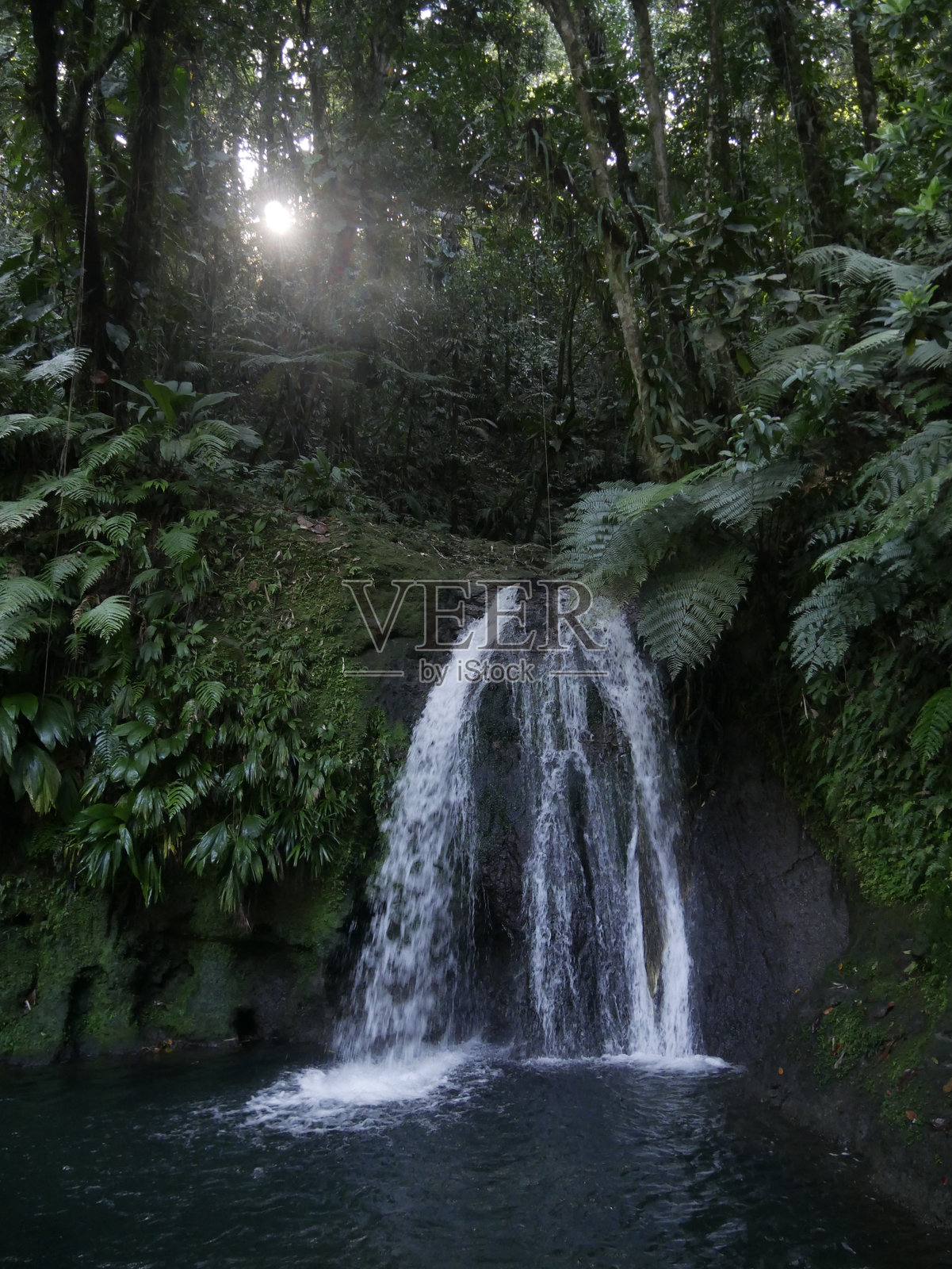 瓜德罗普的雨林中，阳光照耀下的螃蟹瀑布，自然风光。照片摄影图片