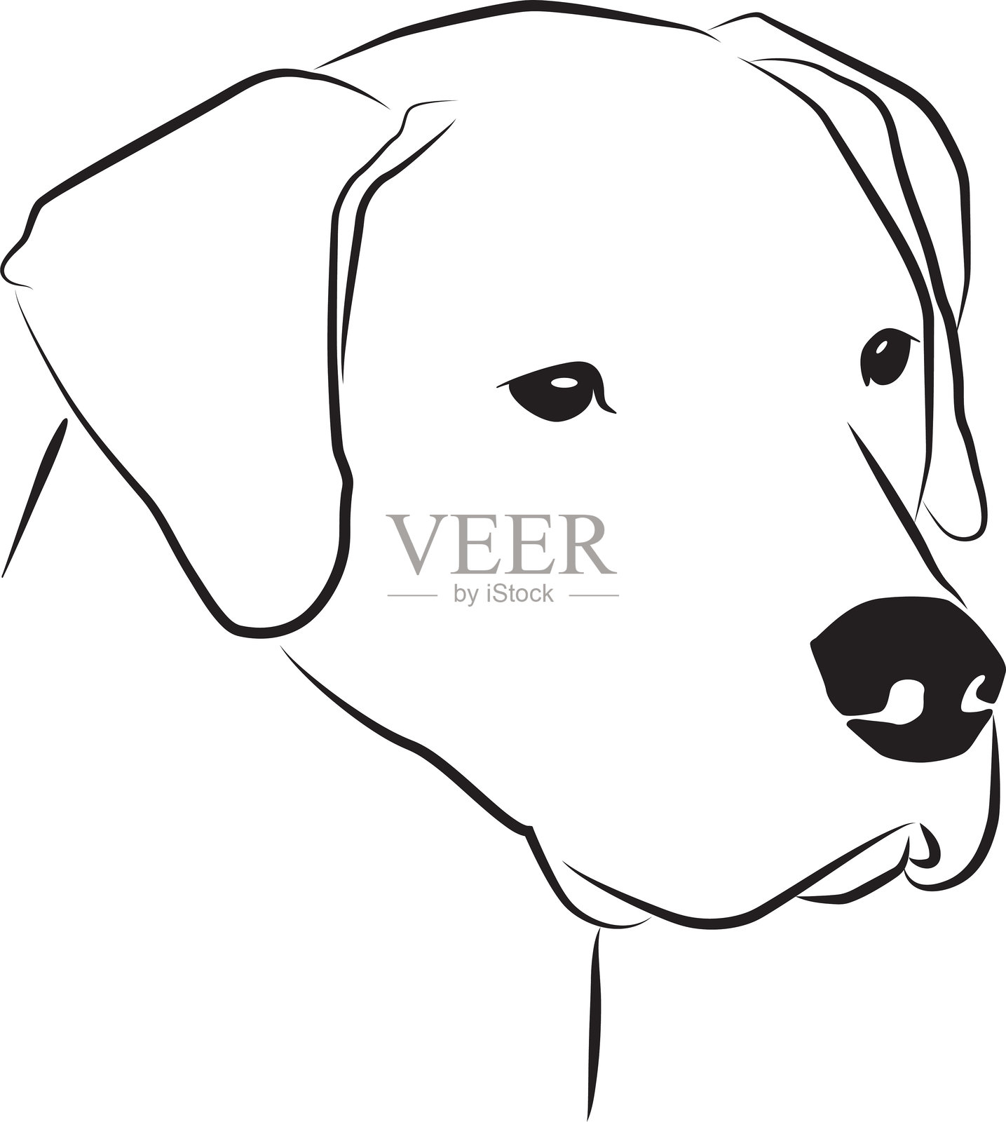 卡塔胡拉豹犬插画图片素材