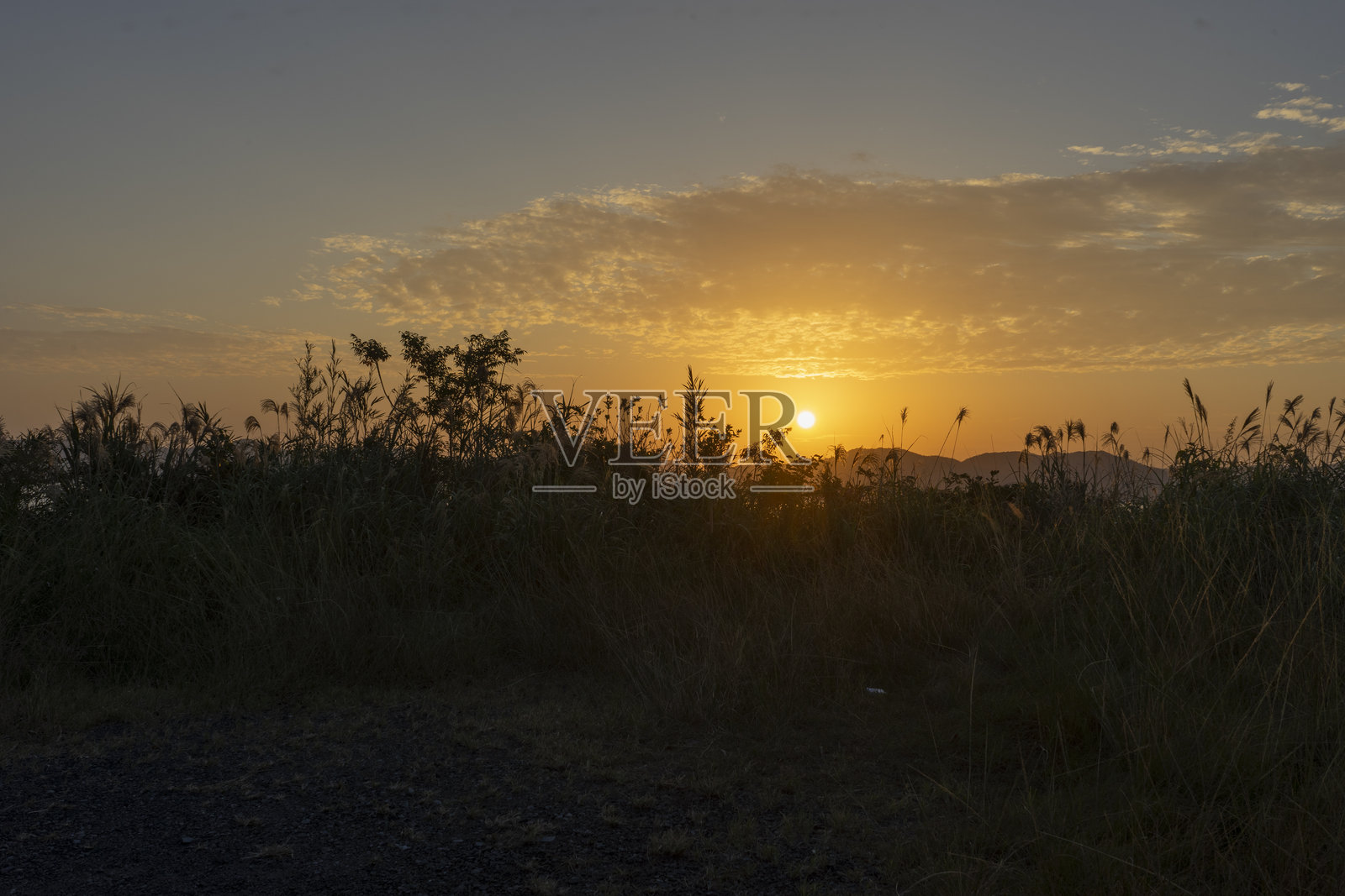 奄美大岛的日出照片摄影图片