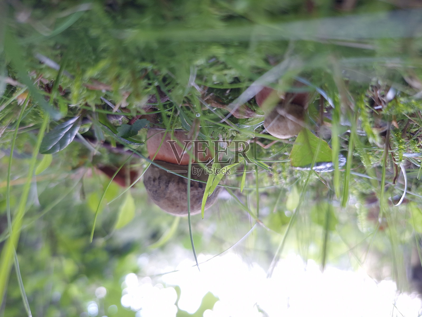 维尔纽斯，立陶宛照片摄影图片