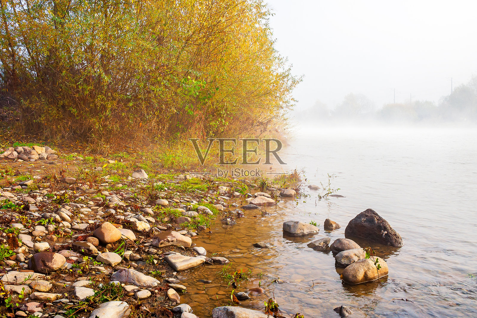 秋季雾霭中的乡村风景与河流照片摄影图片