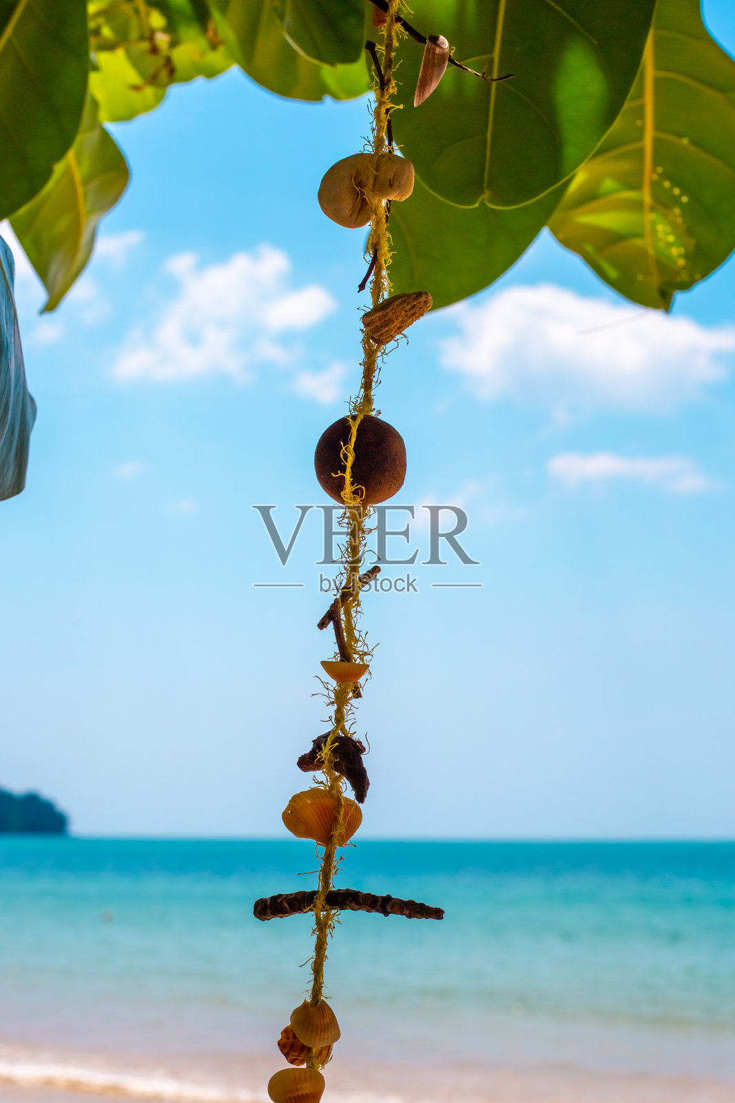 海洋垂直风景。树上的装饰，挂着贝壳的线，位于热带岛屿的海岸。照片摄影图片
