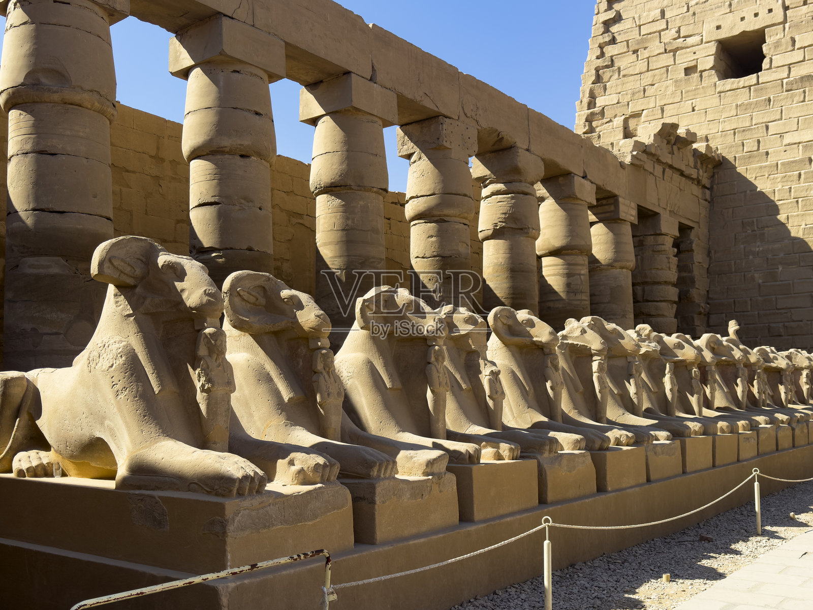 卡纳克神秘的狮身人面像：尼罗河的守护者照片摄影图片