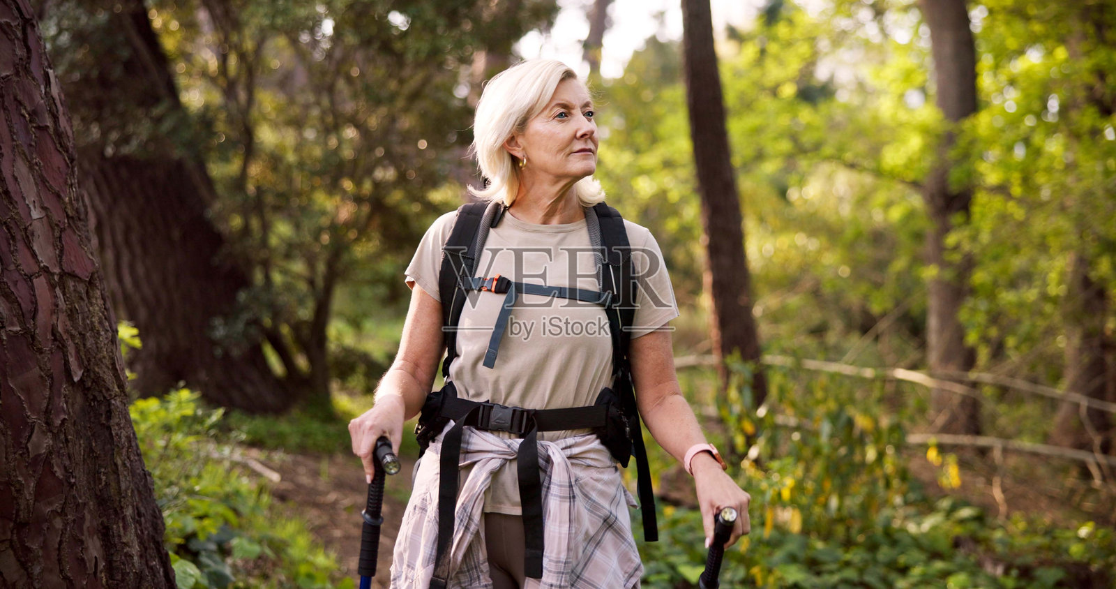 女性，手持登山杖在森林中徒步旅行，享受冒险、观光或自然旅行。女性徒步者或游客，背着背包或装备，进行户外远足之旅。照片摄影图片