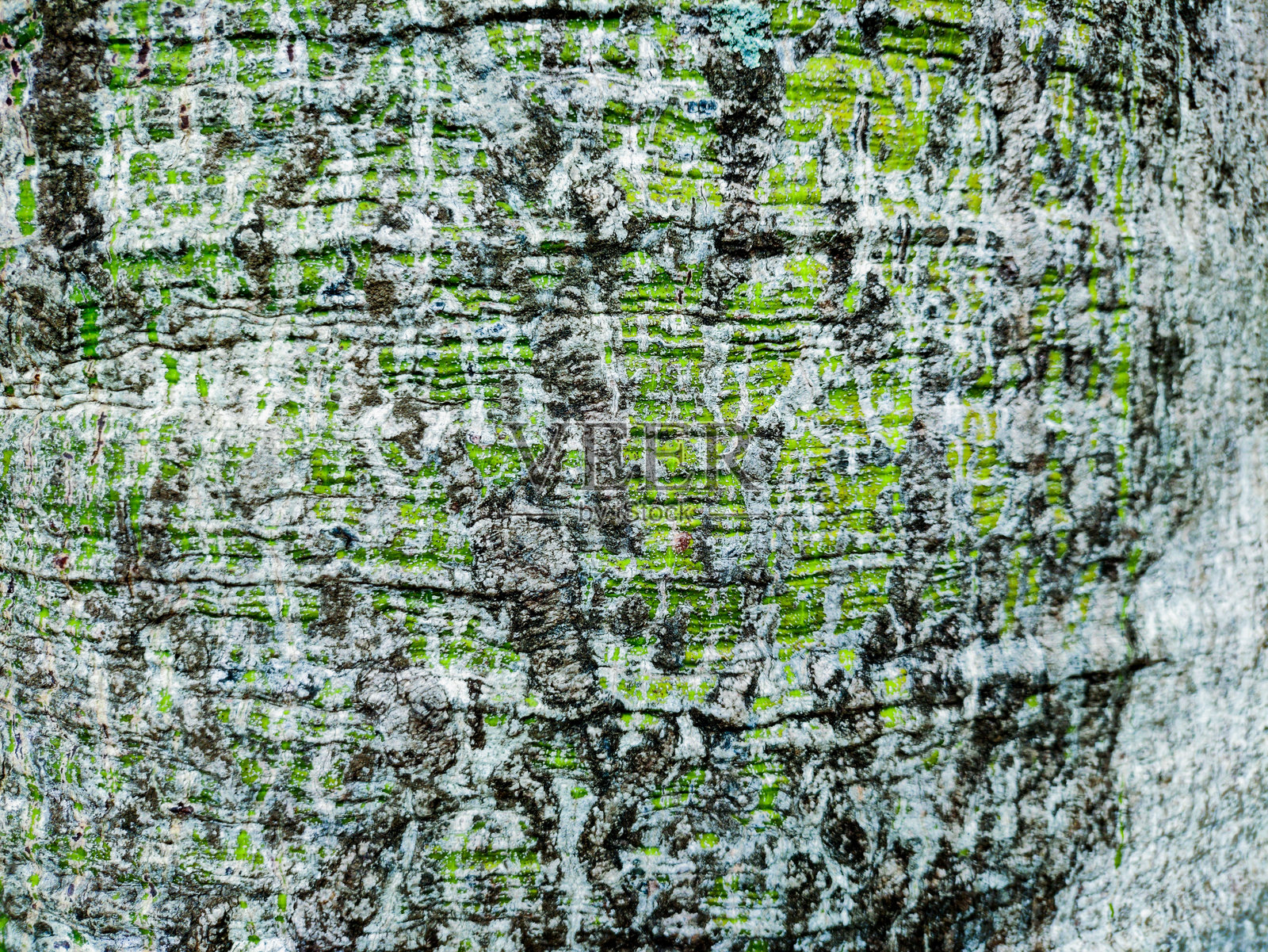 木质表面纹理背景照片摄影图片