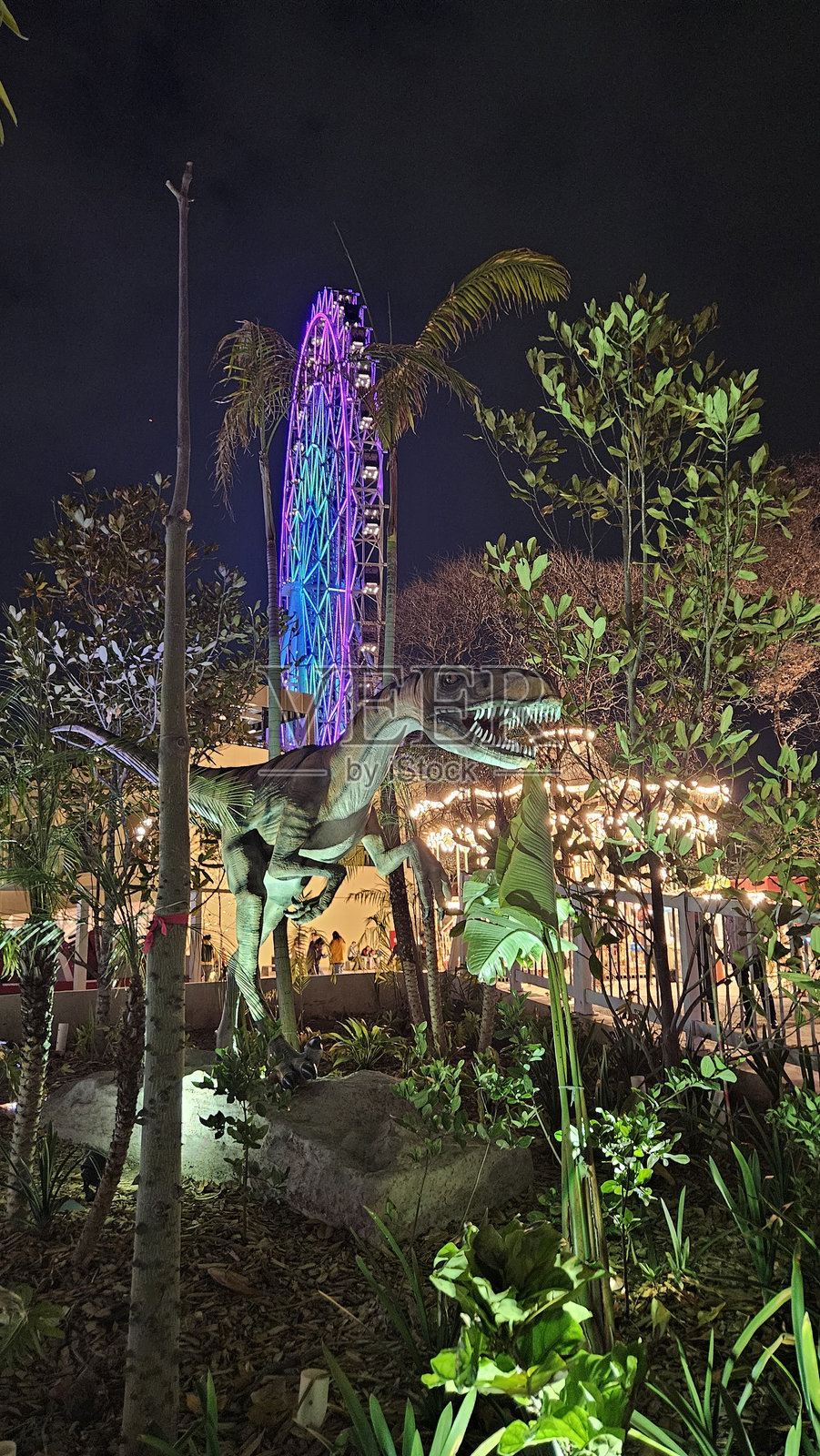 查普尔特佩克森林城市公园彩色摩天轮夜景照片摄影图片