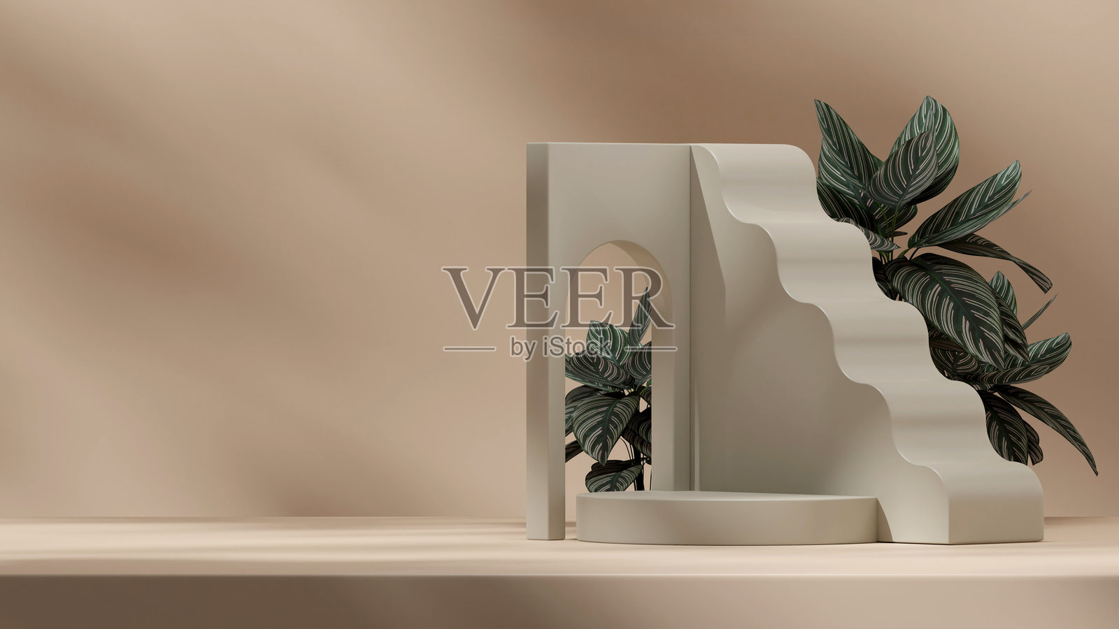 3D渲染的横向布局产品展示台，带有聚光灯和粉色条纹的卡拉西亚植物照片摄影图片