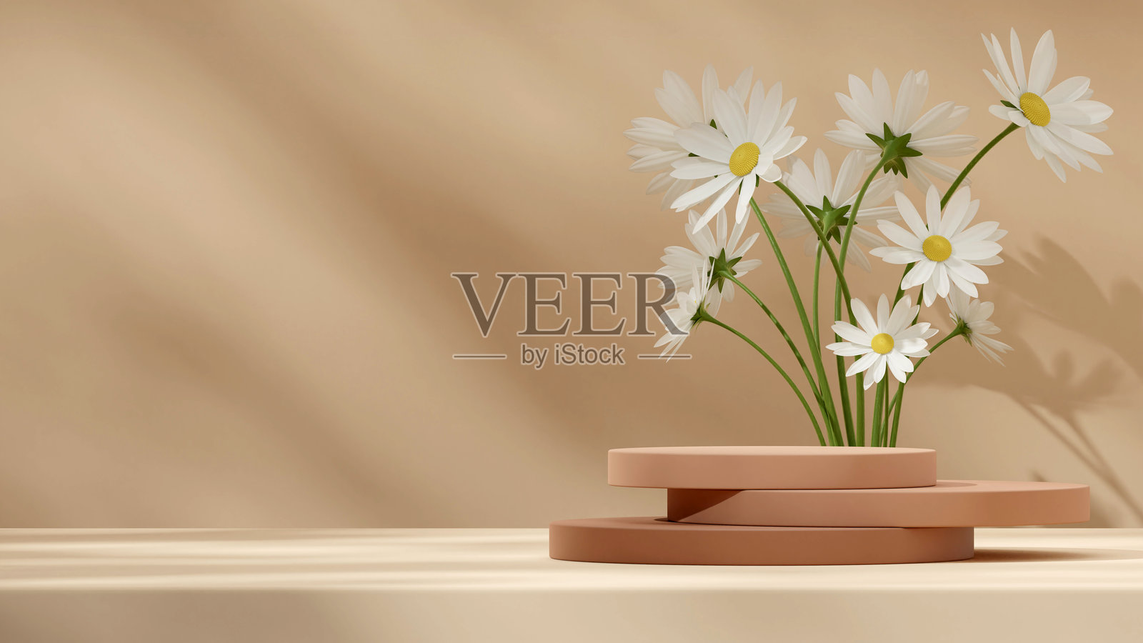 雏菊花朵背景 3D 渲染模型 圆柱堆叠讲台 风景与棕褐色背景照片摄影图片