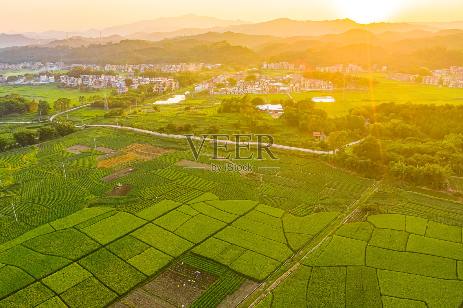 中国乡村的农业稻田，亚洲，中国，农田。照片摄影图片