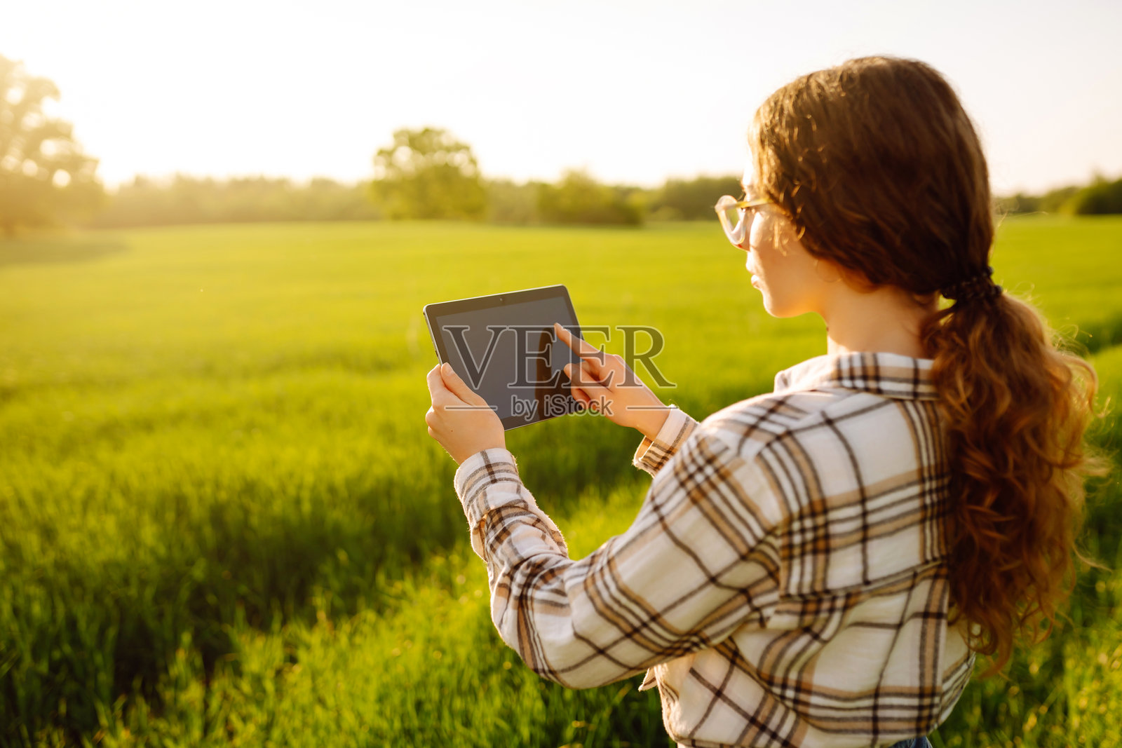 手中握着平板电脑的特写。一位农妇跪在绿色的幼小小麦田里。照片摄影图片