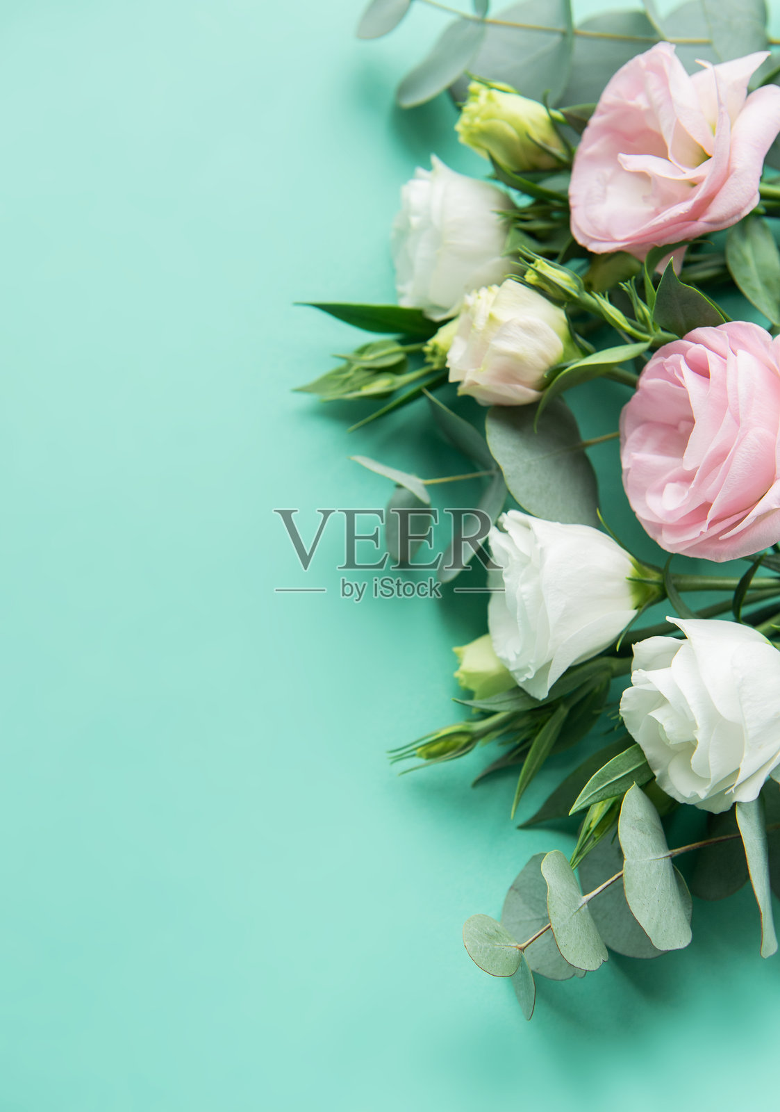 淡蓝绿色背景上优雅地排列着粉彩花朵和桉树叶照片摄影图片