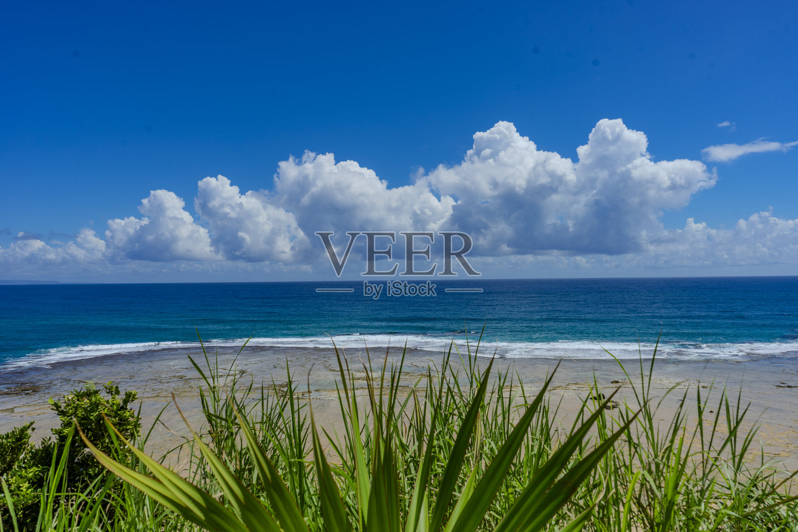 奄美的珊瑚礁照片摄影图片