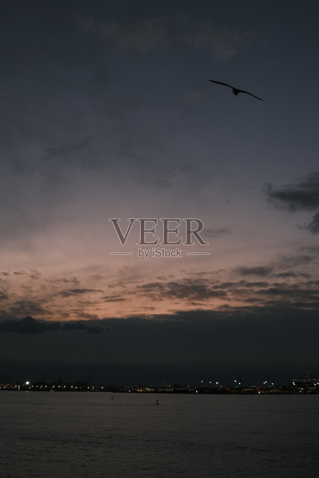 海鸥与日落照片摄影图片