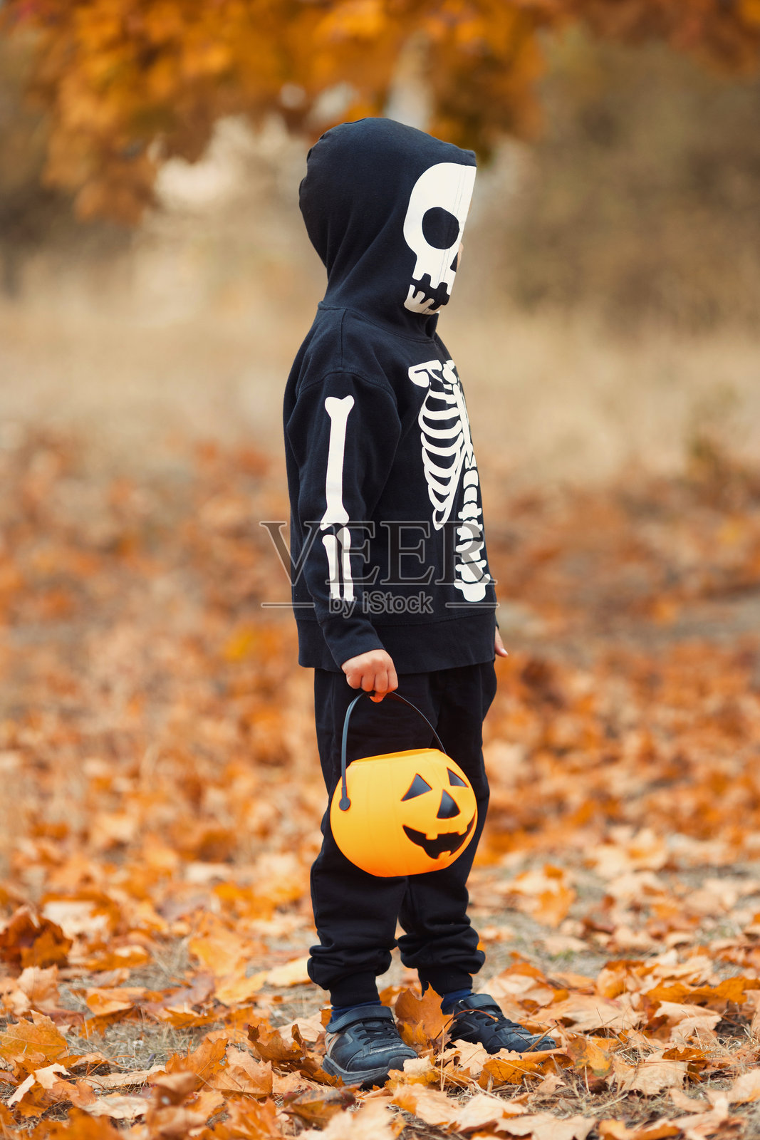 万圣节嘉年华中，穿着骷髅服装的全身儿童在秋季公园里站着，手里拿着装满糖果的南瓜桶。照片摄影图片
