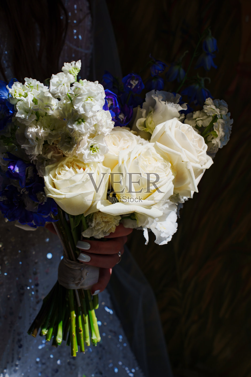 一束白色和奶油色的玫瑰花照片摄影图片