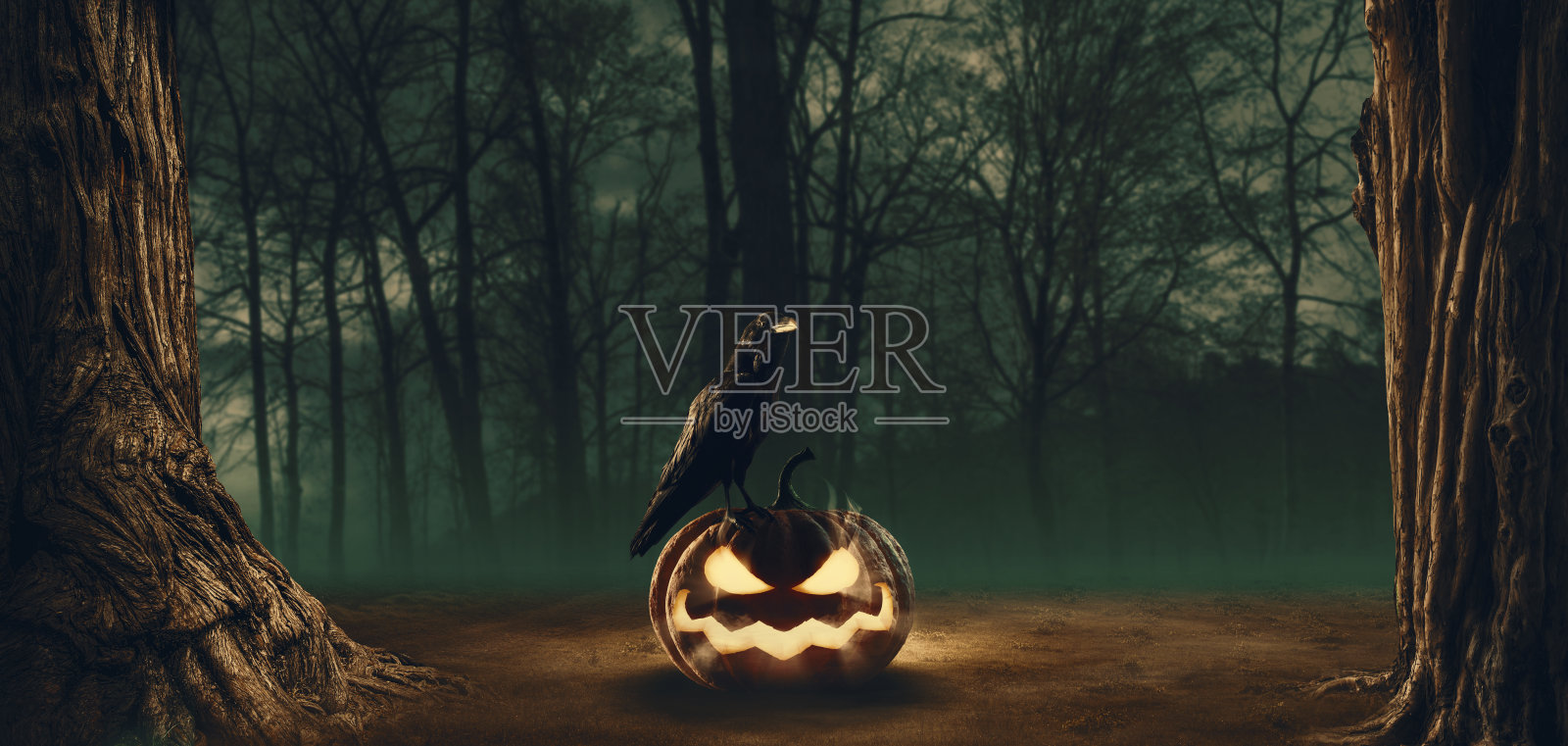 森林里的万圣节南瓜和乌鸦照片摄影图片