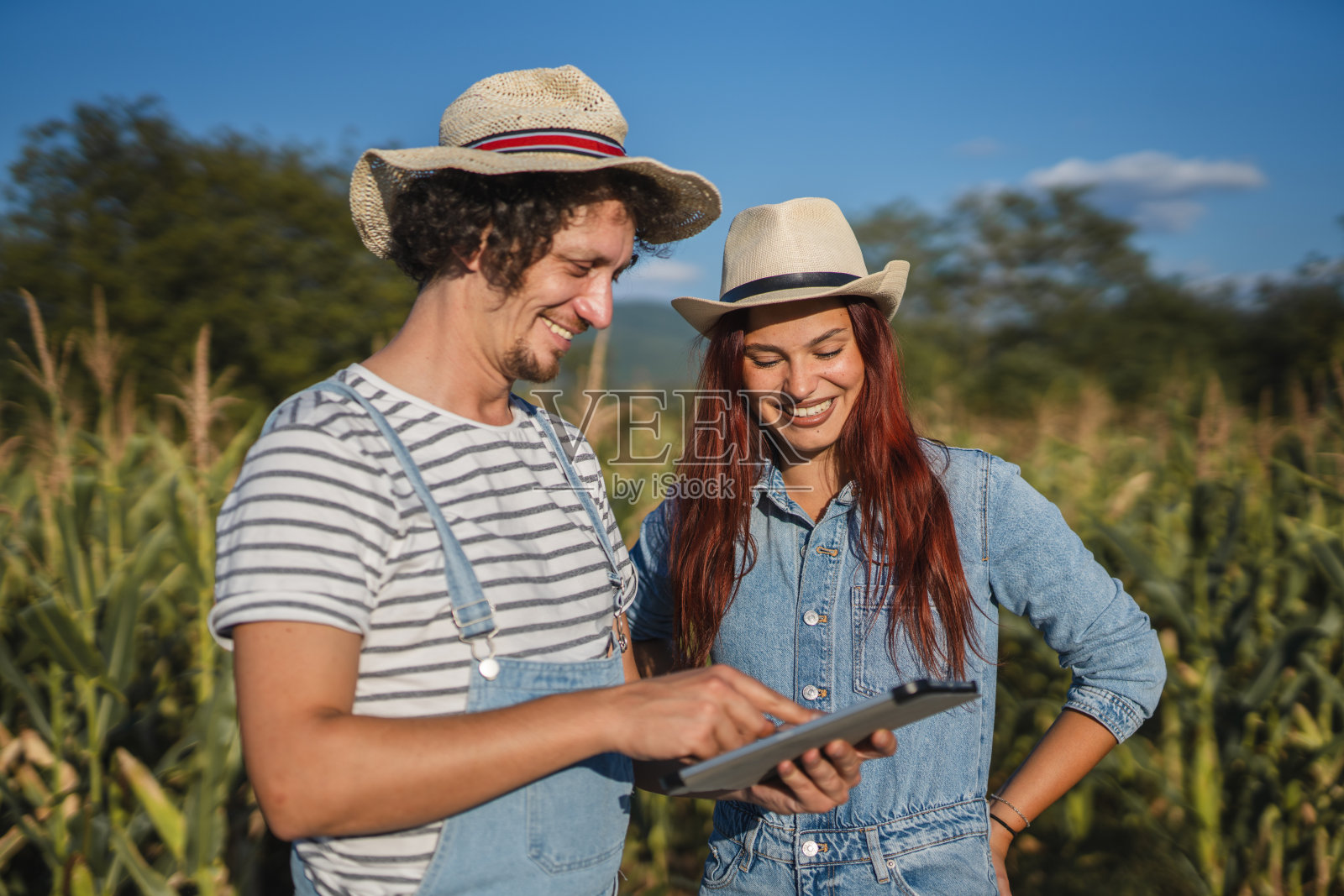 男女农民同事站在玉米地里，手里拿着药片照片摄影图片