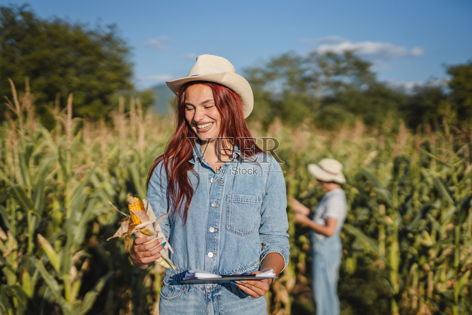 年轻漂亮的女农民拿着写字板站在玉米地里照片摄影图片
